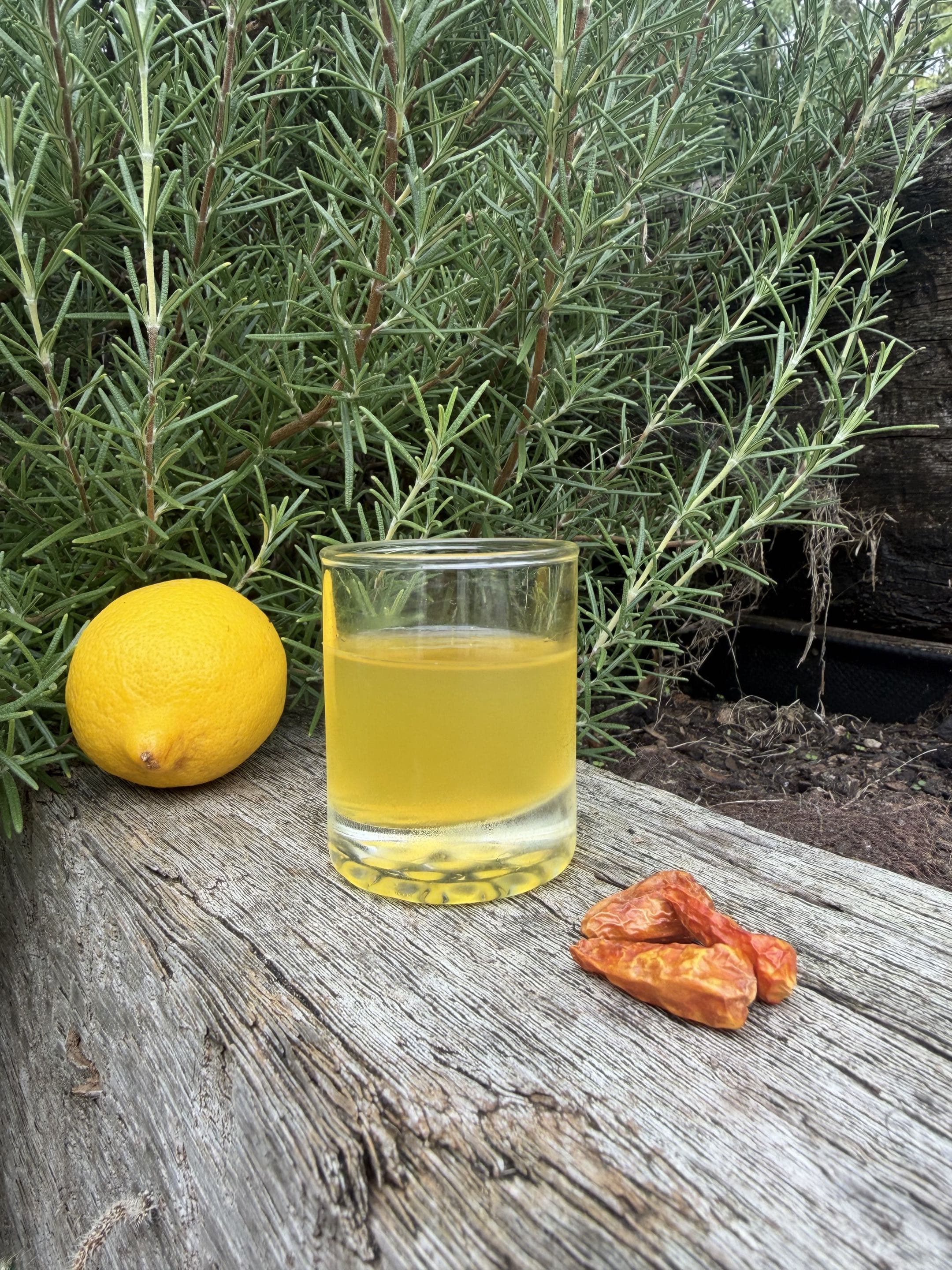 A small tumbler of Schniffells neat on weathered wood, with a lemon and dried cayenne, rosemary behind